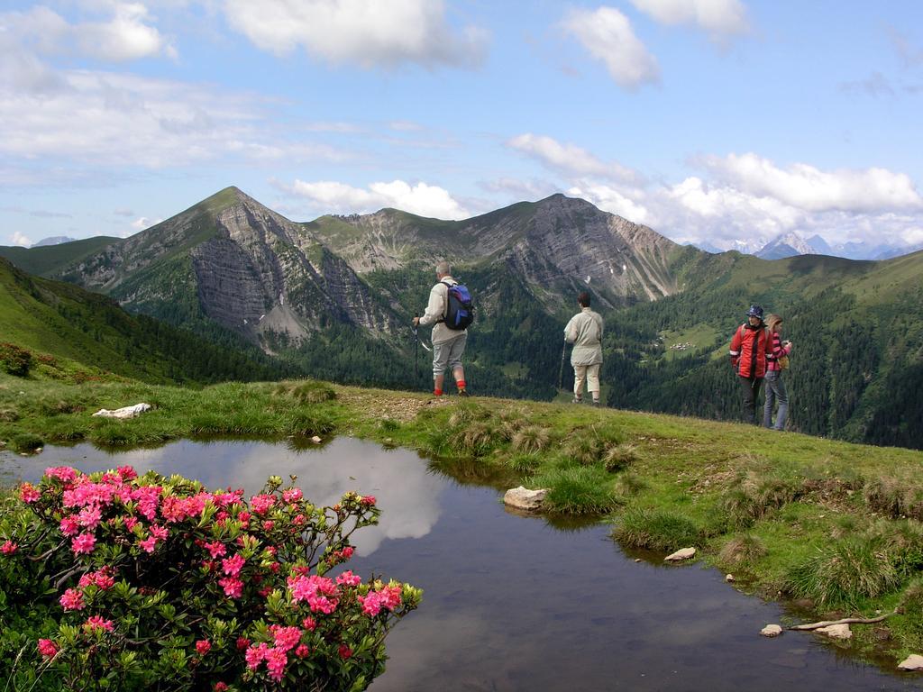Ferienhaeuser Familie Hofer Stockenboi Weissensee Exteriör bild